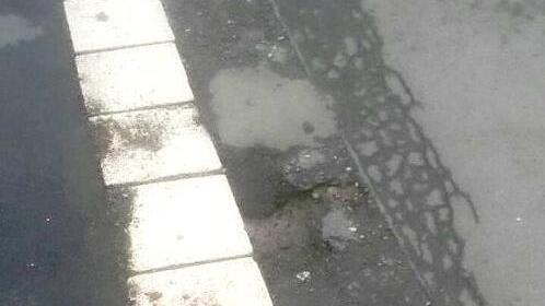 Foto: infrankenmelder-Userin "marga"