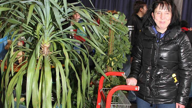 Anita Zipfel kaufte eine Riesen-Palme. "Meine Wohnung ist zwar nicht so groß, aber ich finde schon noch einen Platz", ist sie überzeugt. Aber erst einmal muss sie einen starken Helfer finden, der die Palme in die Wohnung bringt.