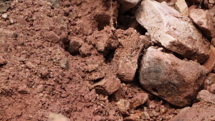 Auch hier sprudelt Quellwasser direkt aus der Erde. Foto: Ulrke Müller