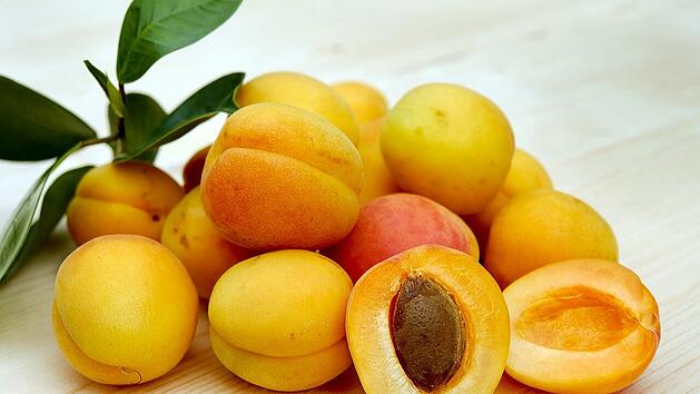 Die Aprikose ist voller guter Stoffe, die sowohl im Fruchtfleisch als auch um Kern stecken.