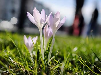 Am Wochenende wird es sonnig in Franken. Das geht auch in der n&auml;chsten Woche so weiter. Symbolfoto: Martin Gerten/dpa +++ dpa-Bildfunk +++