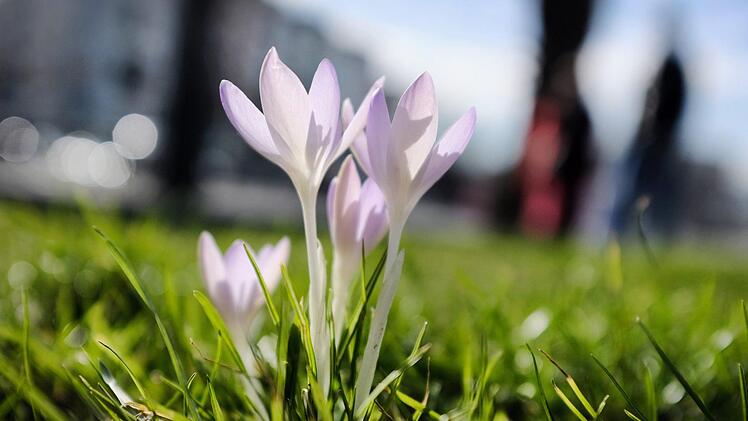 Am Wochenende wird es sonnig in Franken. Das geht auch in der n&auml;chsten Woche so weiter. Symbolfoto: Martin Gerten/dpa +++ dpa-Bildfunk +++