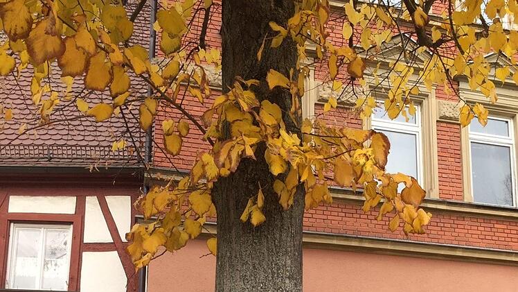 Auch die grüne Bundestagsabgeordnete Lisa Badum aus Forchheim beteiligte sich an der Aktion. Foto: privat