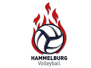 Die Hammelburg Volleys haben in Freiburg gewonnen. Foto: Archiv