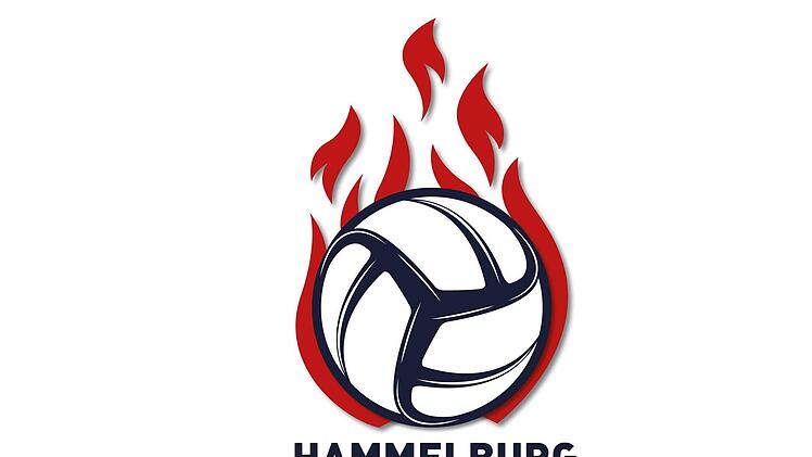 Die Hammelburg Volleys haben in Freiburg gewonnen. Foto: Archiv