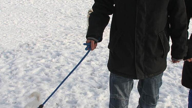 René Tußler und Claudia Demätr lassen sich bei der Erziehung des vier Monate alten Maltesers Elvis gerne beraten.