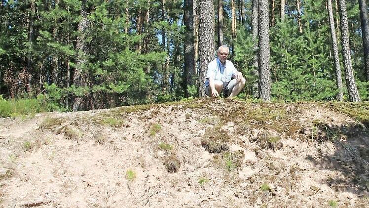 Frank Reißenweber kniet am Hang in der Sandgrube bei Thann. Er kennt die Geheimnisse der Flora und Fauna.