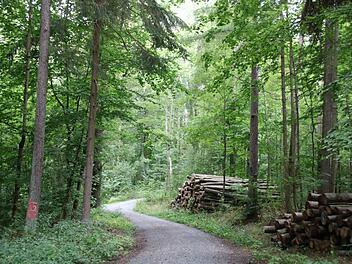 Junge findet Sextoys im Wald in Mellrichstadt