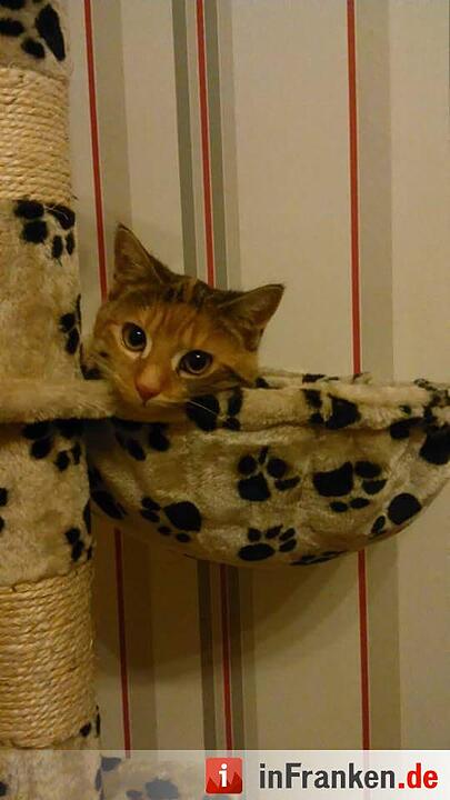 Foto: Dorothea Micieli