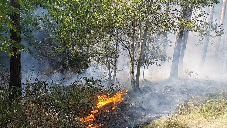 Waldbrand ruft Feuerwehr auf den Plan