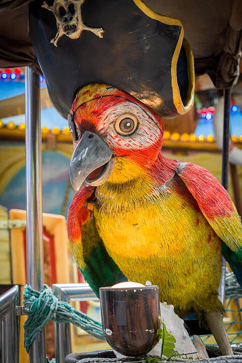 29.05.2015 Erlangen - Bergkirchweih Tag 9 Teil1