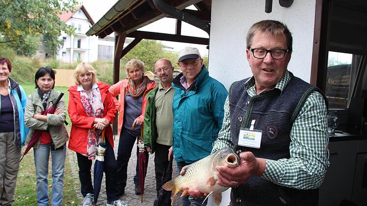 Leonhard Thomann (rechts) zeigte den Teilnehmern der Karpfenwanderung auch einen Schuppenkarpfen. Foto: Andreas Dorsch