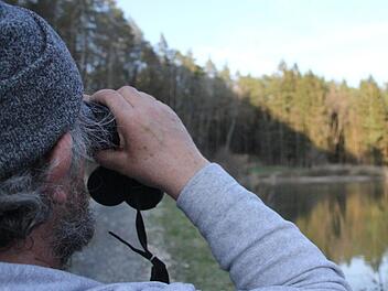 Hans-Georg Schneider bei seinen Teichen in Theinheim. Er hofft, dass Zeugen gefunden werden, die Hinweise auf die Fischdiebe geben können. Fotos: Andreas Lösch