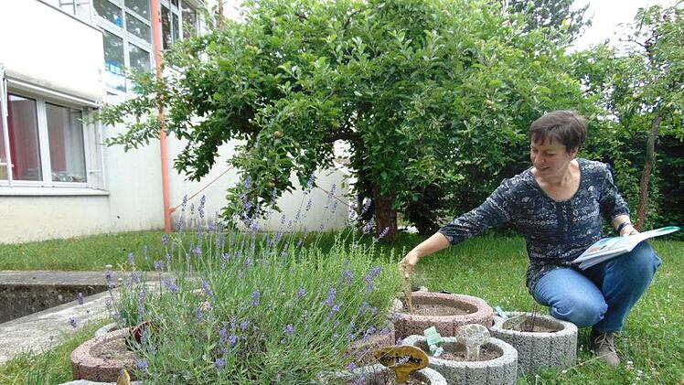 Claudia Leistner sieht sich die getöpferten Pflanzenstecker an. Foto: Petra Malbrich