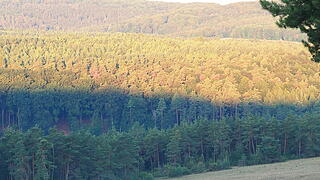 Das verlassene Dorf Bonnland darf bei einer Wanderung durch den Truppenübungsplatz Hammelburg nicht fehlen. Foto: Jürgen Schmitt