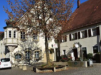 Der als Christbaum dienende Baum am Marktplatz in Gräfenberg hat eine ausladende Krone. Foto: Petra Malbrich
