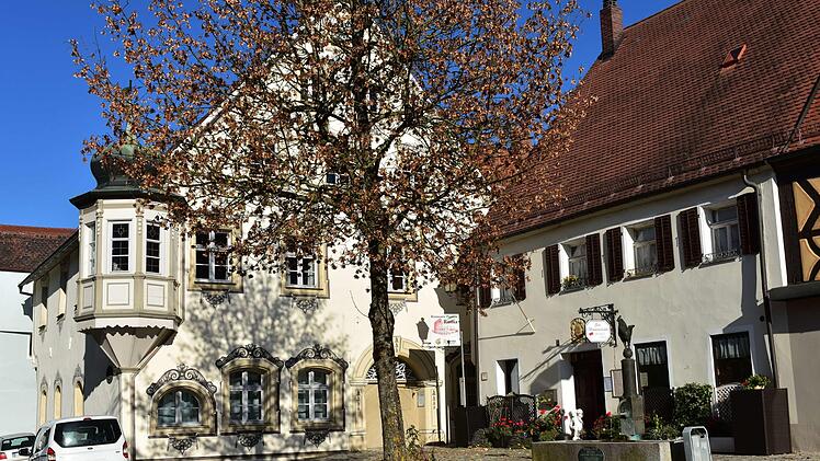 Der als Christbaum dienende Baum am Marktplatz in Gräfenberg hat eine ausladende Krone. Foto: Petra Malbrich