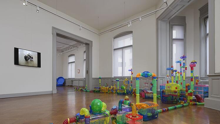 Bamberg: "Kontroverse" Ausstellung nur noch wenige Tage zu sehen - K&uuml;nstlerin zeigt Verh&auml;ltnis zur Natur