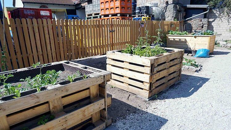 Die Hochbeete wurden aus Paletten gefertigt