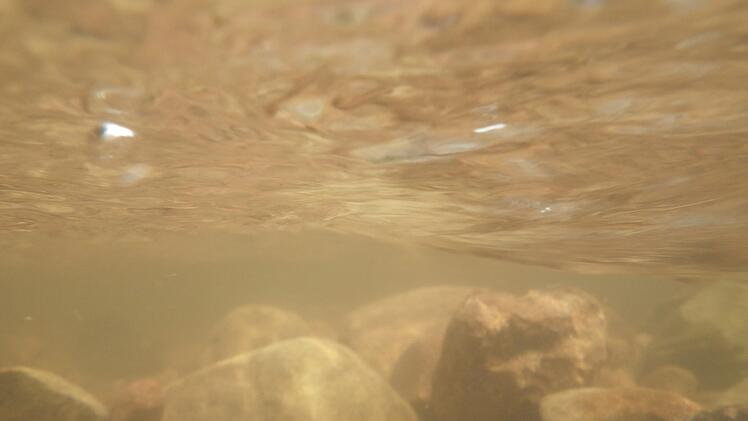 Foto: Archiv/Arkadius Guzy