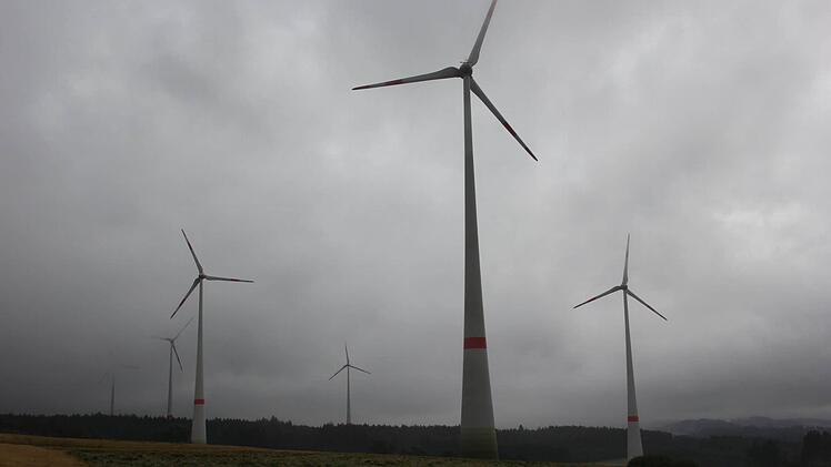 Foto: Friedwald Schedel