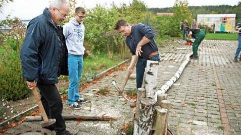 Schnell war der Baum abgesägt. Dann wurden brav die Bierfässer leergetrunken, denn Erlös ging an die Mukoviszidose-Stiftung.  Foto: sae