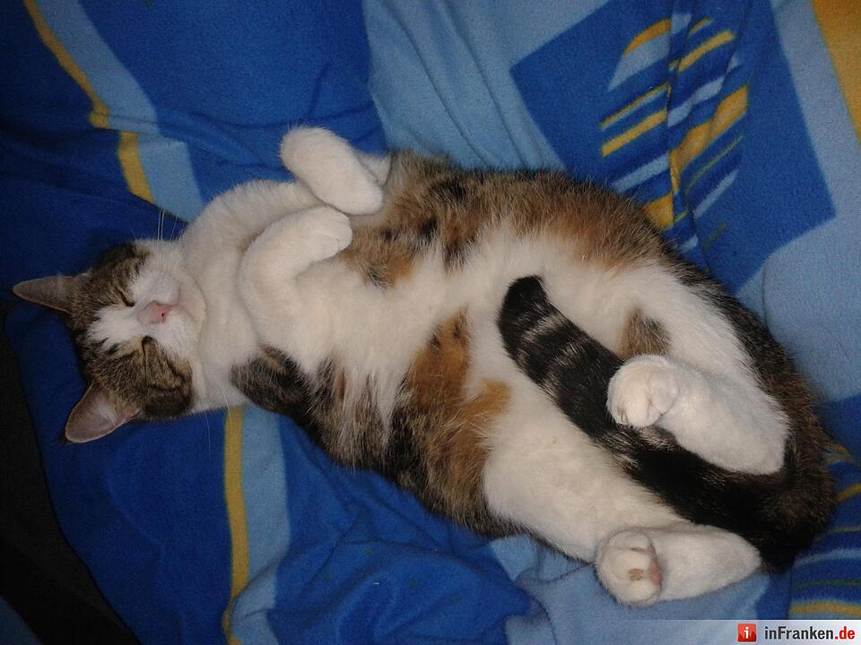 Foto: Kristin Und Melanie Förtsch