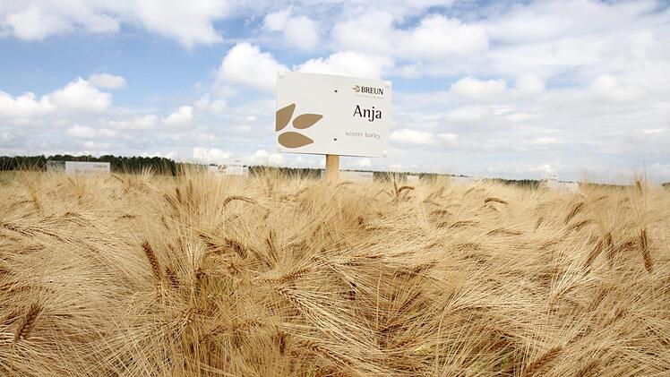 Foto: Richard Sänger