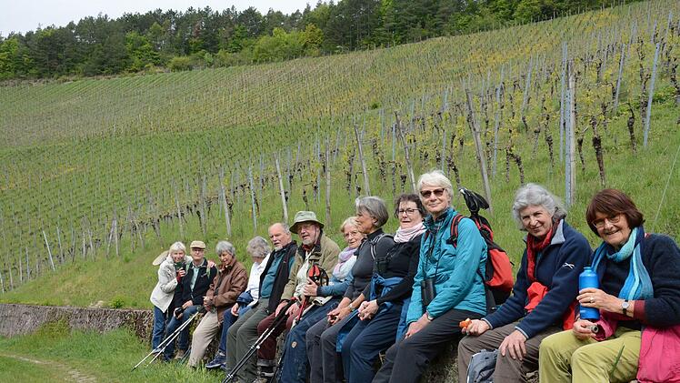 Rast in den Weinbergen von Hammelburg, die direkt an der Kernzone des Biosphärenreservates liegen.Elisabeth Assmann