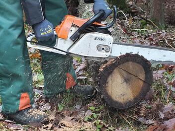 Auf 63 Hektar sollen im Burkardrother Gemeindewald etwa 3300 Festmeter Holz eingeschlagen werden, wurde in der Gemeinderatssitzung deutlich. Das wäre weniger als im Vorjahr. 2012 waren es noch 3700 Festmeter Holz. Foto: Björn Hein