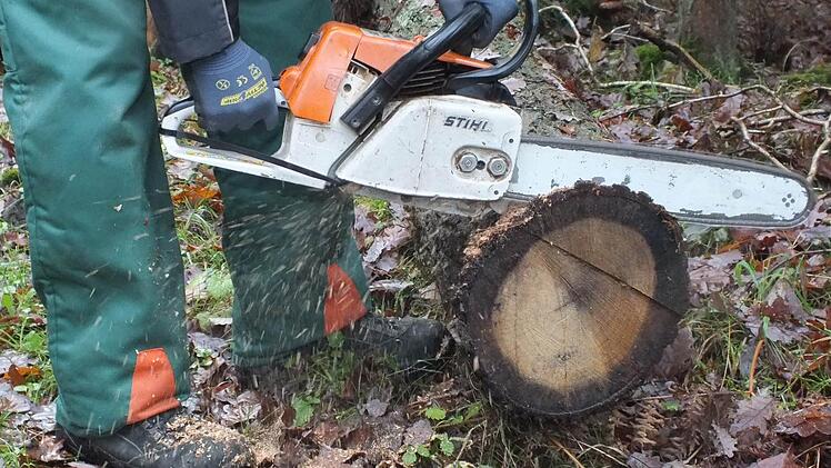 Auf 63 Hektar sollen im Burkardrother Gemeindewald etwa 3300 Festmeter Holz eingeschlagen werden, wurde in der Gemeinderatssitzung deutlich. Das wäre weniger als im Vorjahr. 2012 waren es noch 3700 Festmeter Holz. Foto: Björn Hein