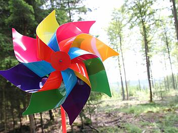 110 Millionen Euro soll der Windpark im Roßbacher Forst kosten. Doch die Planungen verzögern sich. Foto: Ulrike Müller