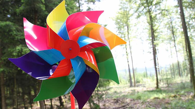 110 Millionen Euro soll der Windpark im Roßbacher Forst kosten. Doch die Planungen verzögern sich. Foto: Ulrike Müller