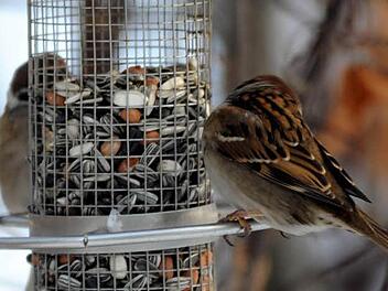 Symbolfoto: Carsten Rehder/dpa