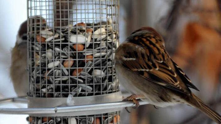 Symbolfoto: Carsten Rehder/dpa