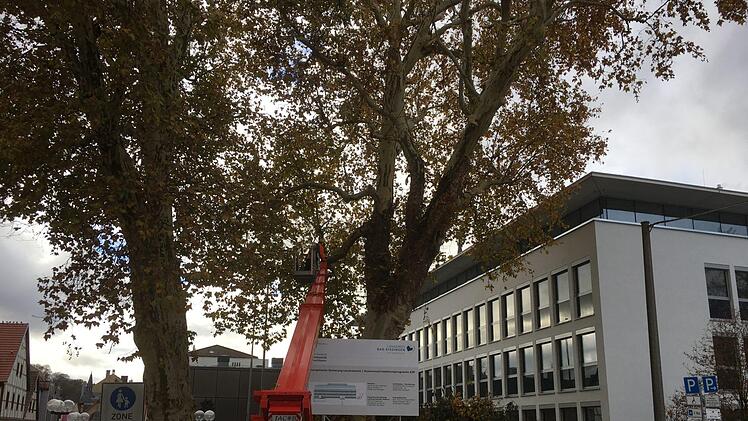 Rund um das Landratsamt. Foto: Ralf Ruppert