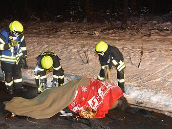 Auch ein Veterinär konnte für das Tier nichts mehr tun. Das Pferd starb nach der Kollision noch an der Unfallstelle. Foto: Peter Rauch