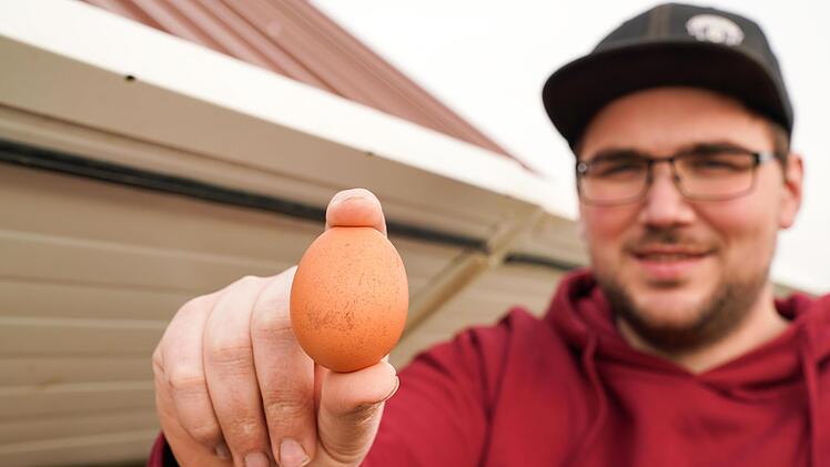 Nachrichten über die Geflügelpest haben für Landwirt Daniel Kaßel zu Einbußen beim Eierverkauf geführt. Foto: Adriane Lochner