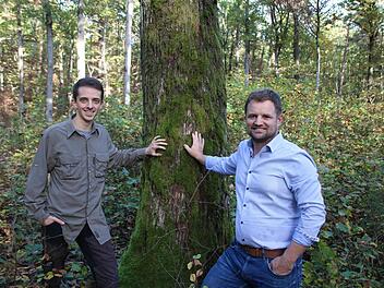 Förster Bastian Ehrenfels (von links) und Betriebsleiter Matthias Wallrapp von der Stiftung Juliusspital kümmern sich um den Stadtwald.