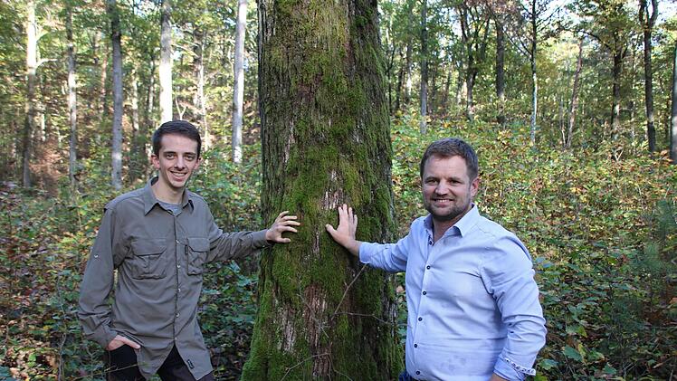Förster Bastian Ehrenfels (von links) und Betriebsleiter Matthias Wallrapp von der Stiftung Juliusspital kümmern sich um den Stadtwald.