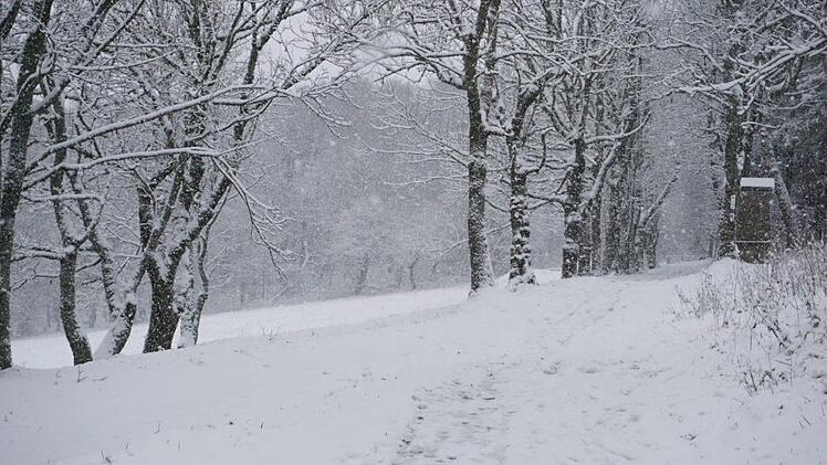 Bilder vom Kreuzberg. Foto: Marion Eckert