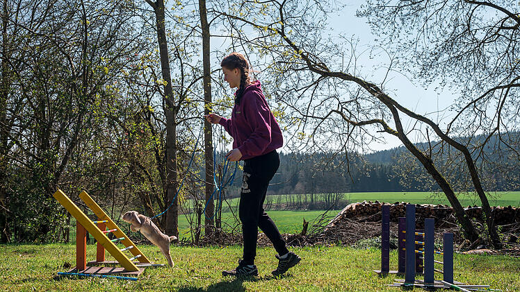 M&ouml;hrchen-Cup 2023