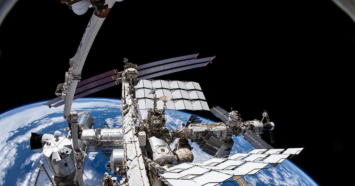 Tiere-vom-All-aus-im-Blick-Projekt-Icarus-startet-neu