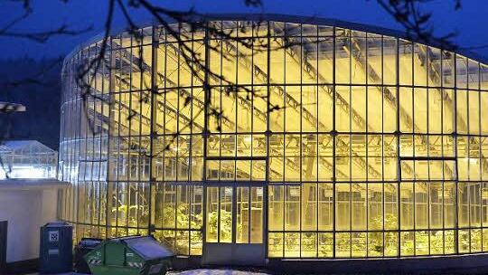 Blick auf den beleuchteten Glasbau des Besucherhauses in der Abenddämmerung Foto: Ronald Rinklef