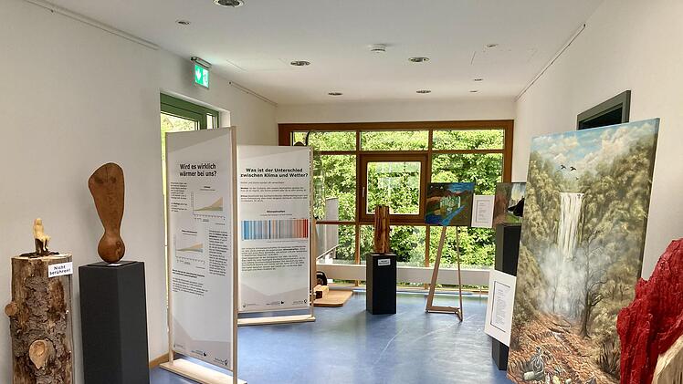 Die Ausstellung setzt sich k&uuml;nstlerisch mit den Auswirkungen des menschengemachten Klimawandels in der Rh&ouml;n auseinander.