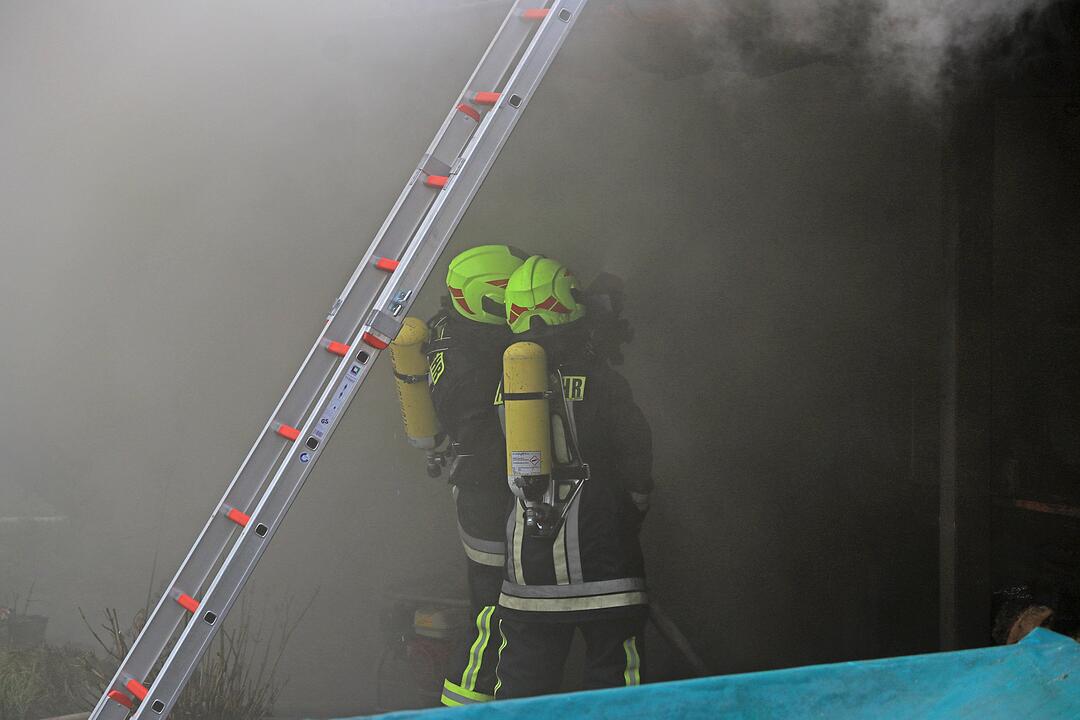 Oberfranken: Gartenhaus geht in Flammen auf - drei Welpen und eine Katze sterben