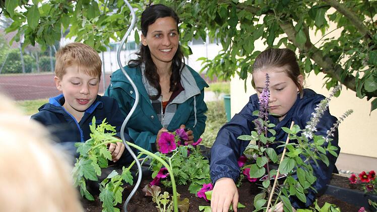 Impressionen vom Pilotprojekt der Kulmbacher Urban-Gardening-Gruppe mit den Melkendorfer Grundschülern Dagmar Besand