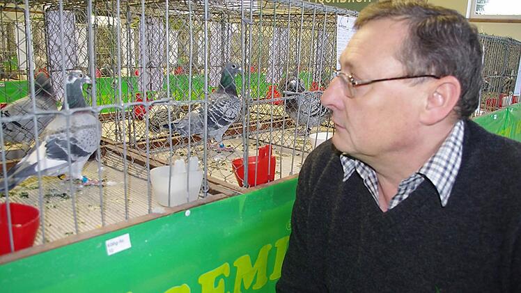 Taubenvater Joachim Volk freut sich über das beste Standardmännchen, beurteilt von den Preisrichtern nach Aussehen und Schönheit. Fotos: Heike Schülein