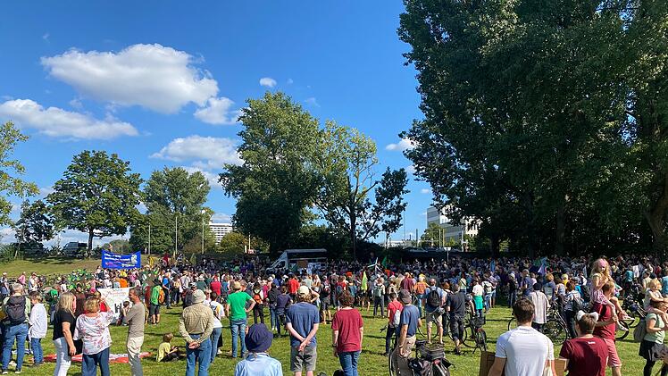 Fridays for Future: Auch in Franken wird demonstriert