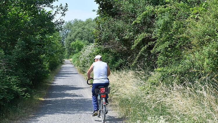 Das gefällt dem Bürgermeister: Brettleben und gut genutzt ist der  Geh- und Radweg auf der Trasse der ehemaligen Steinachtalbahn. Nur ein bisschen länger in Richtung Friesen  könnte  er noch gehen, sagt Bernd Reisenweber.Ronald Rinklef